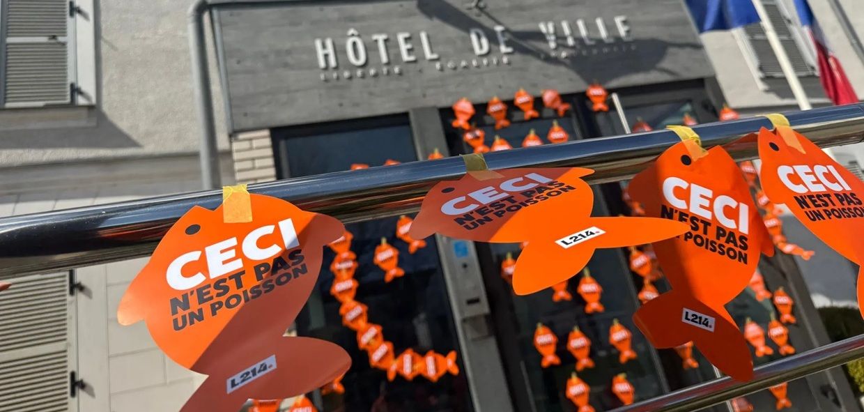 Option végétarienne cantine scolaire