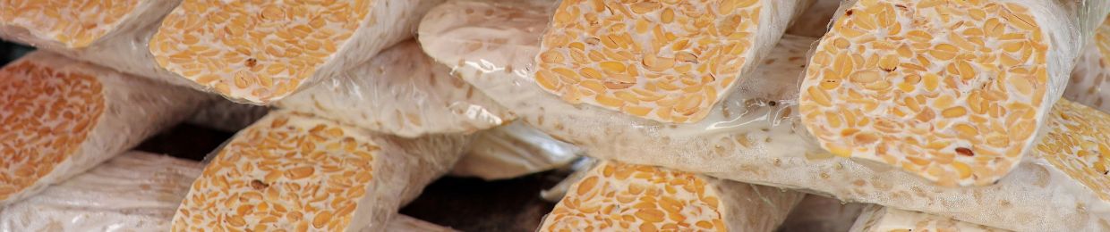 Achat tempeh