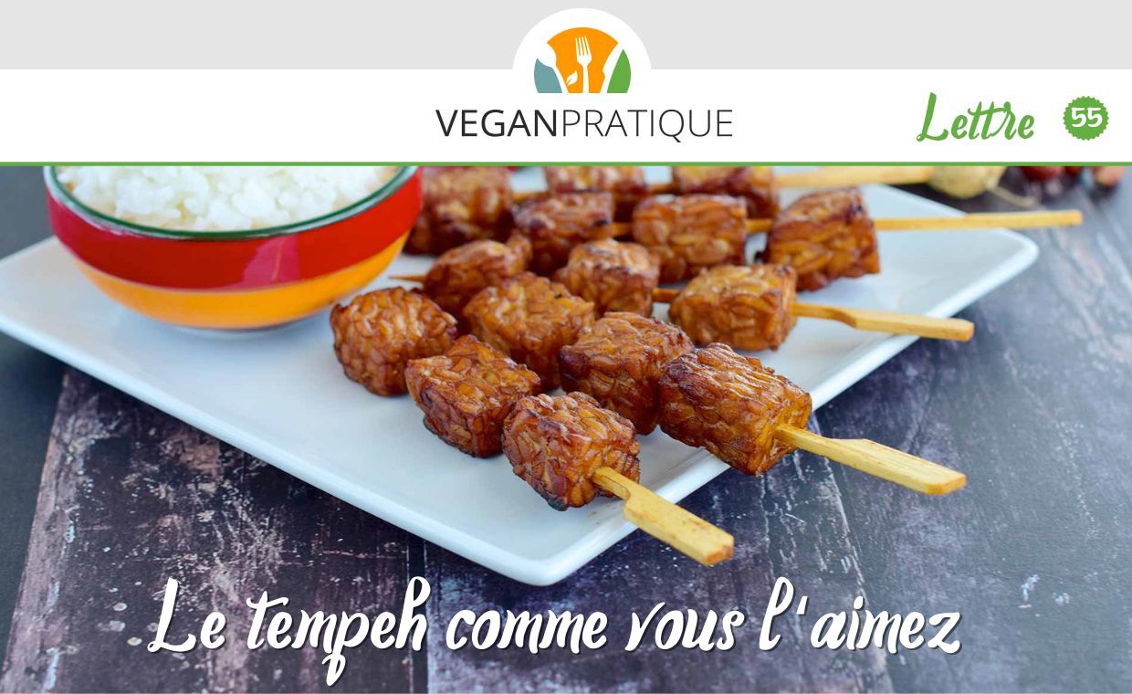 Tempeh en brochettes