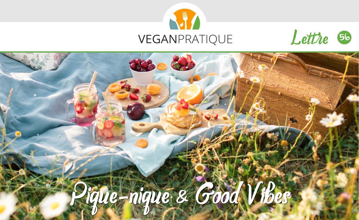 Pique-nique vegan