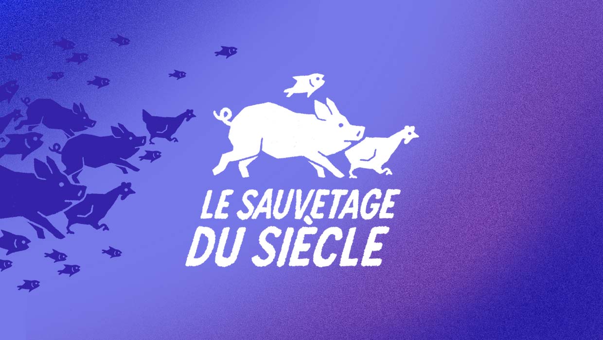 Le Sauvetage du siècle