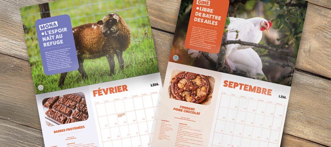 Calendrier L214 2026