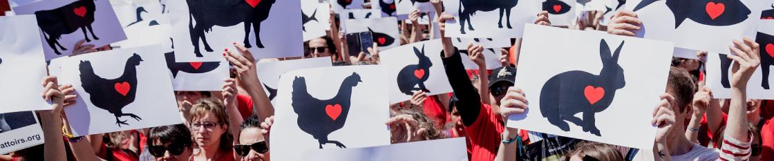 Marche pour la fermeture des abattoirs
