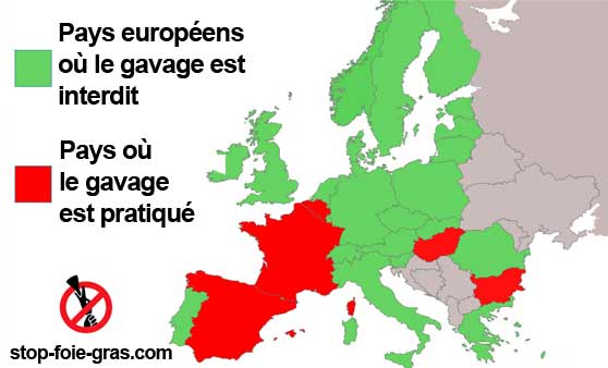 Carte gavage en Europe